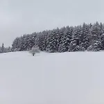 Waldviertel Auszeit - Lichtung Im Wald - Alleinlage Scheiben