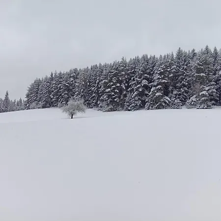 Waldviertel-auszeit Scheibe