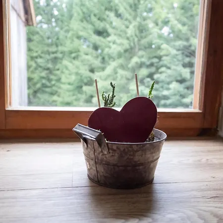 Casa vacanze Waldviertel-auszeit Scheibe