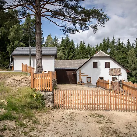 Waldviertel Auszeit - Lichtung Im Wald - Alleinlage *