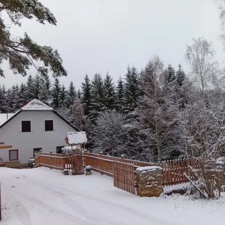 Waldviertel Auszeit - Lichtung Im Wald - Alleinlage Semesterbostad