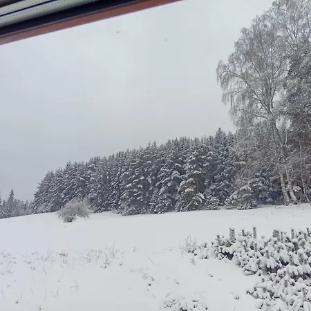 Waldviertel Auszeit - Lichtung Im Wald - Alleinlage * Scheibe