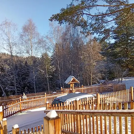 Waldviertel Auszeit - Lichtung Im Wald - Alleinlage Semesterbostad *