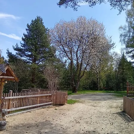Waldviertel Auszeit - Lichtung Im Wald - Alleinlage Semesterbostad Scheiben