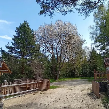 Waldviertel Auszeit - Lichtung Im Wald - Alleinlage Semesterbostad Scheiben